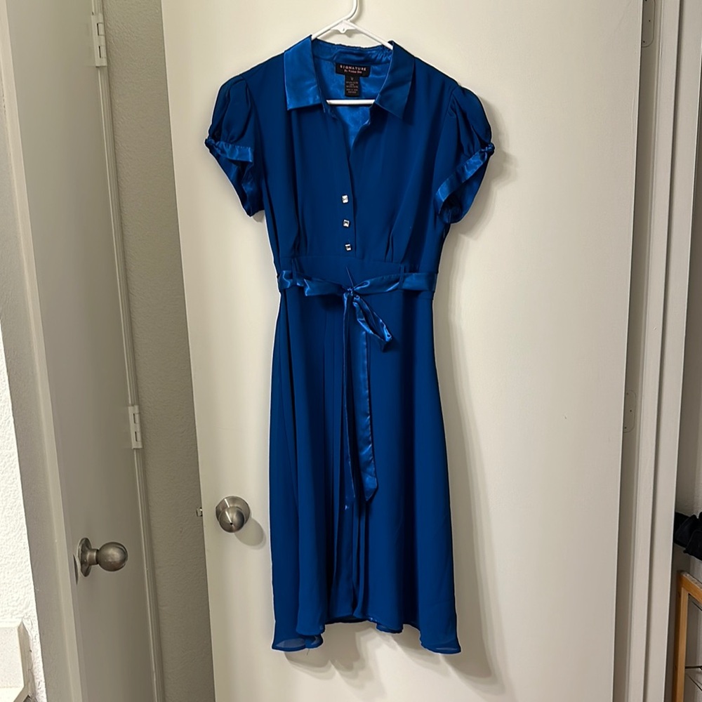Vintage Blue Button-Up Dress